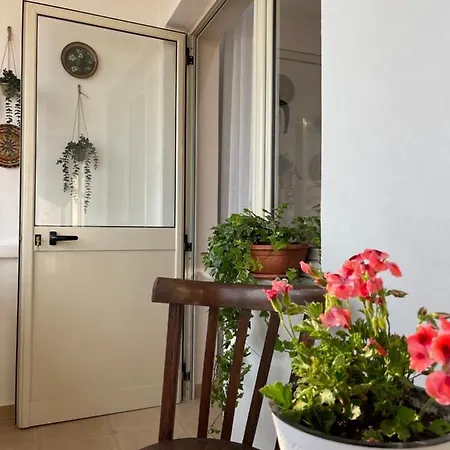 Leo's Appartement Shkodër